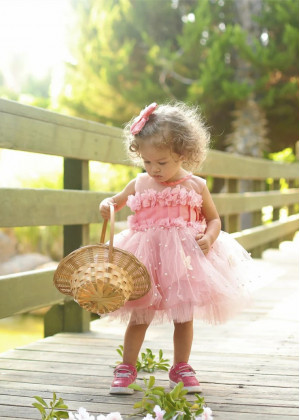 Dusty Rose Butterfly Pearl Embellished Fairy Flower Girl Dress